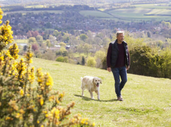Mature Man Taking Golden Retriever For Walk In Countryside